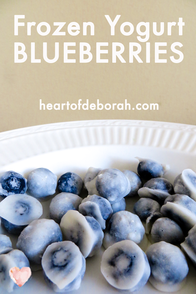 frozen yogurt blueberries