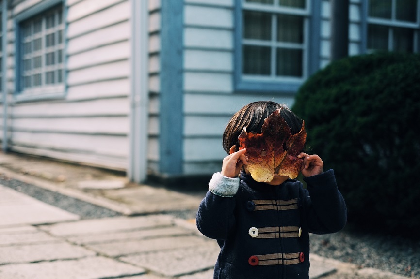 child holding up leaf