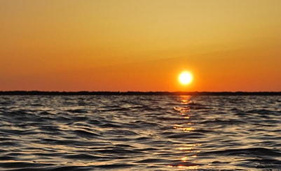 Kakum & Cape Coast (Ghana)