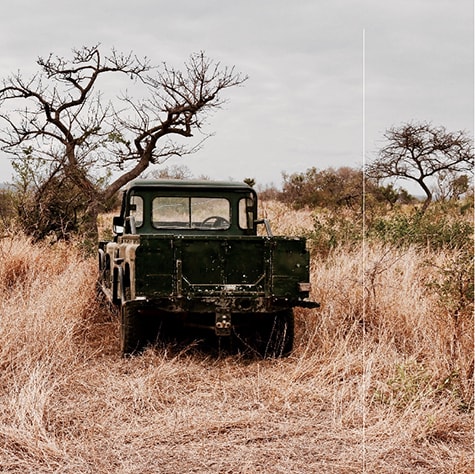 Jeep South Africa National park