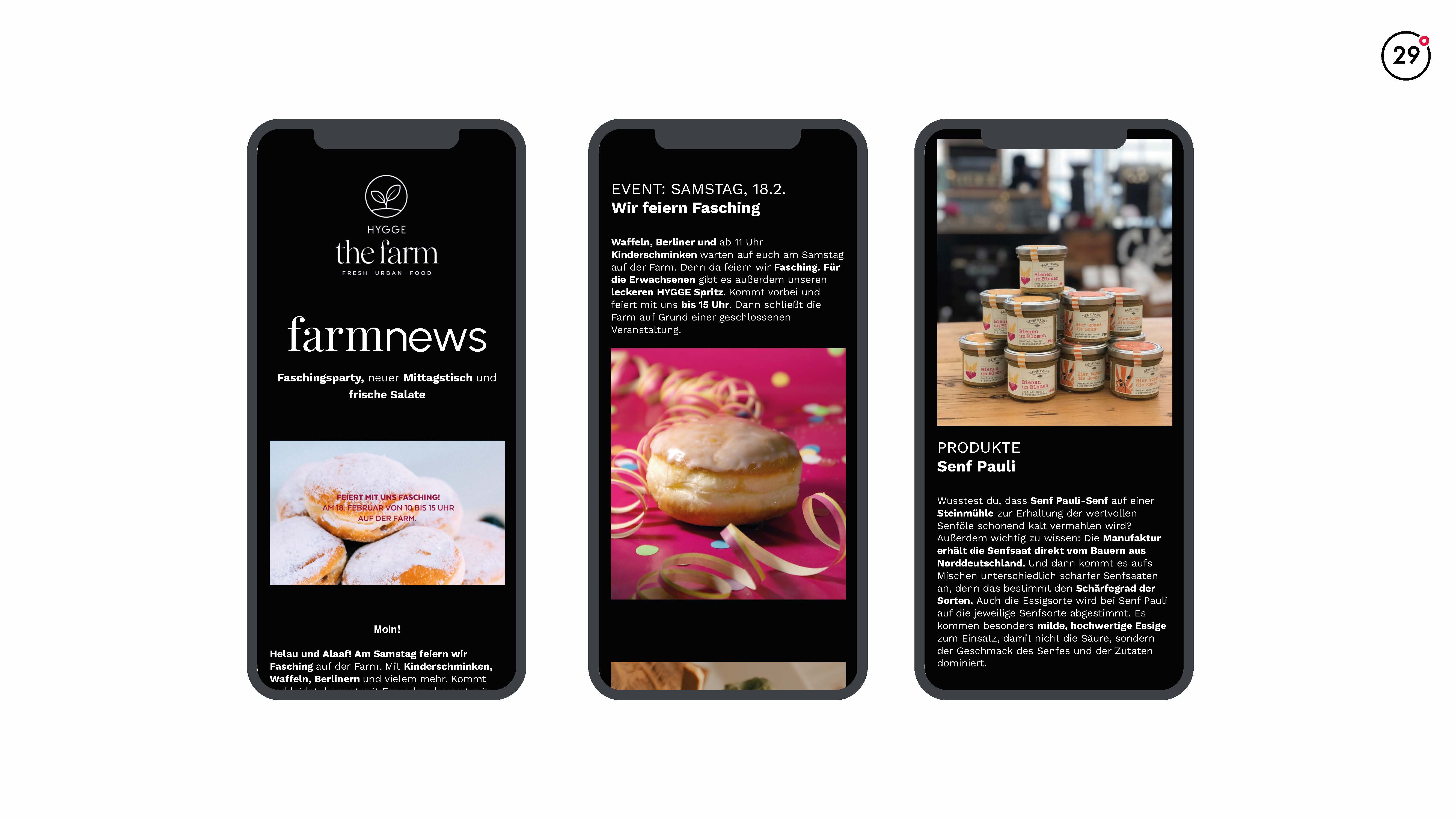 Neunundzwanziggrad Marke & Website & Newsletter