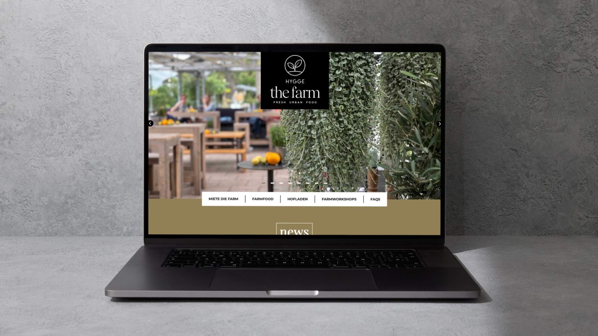 Neunundzwanziggrad Marke & Website & Newsletter