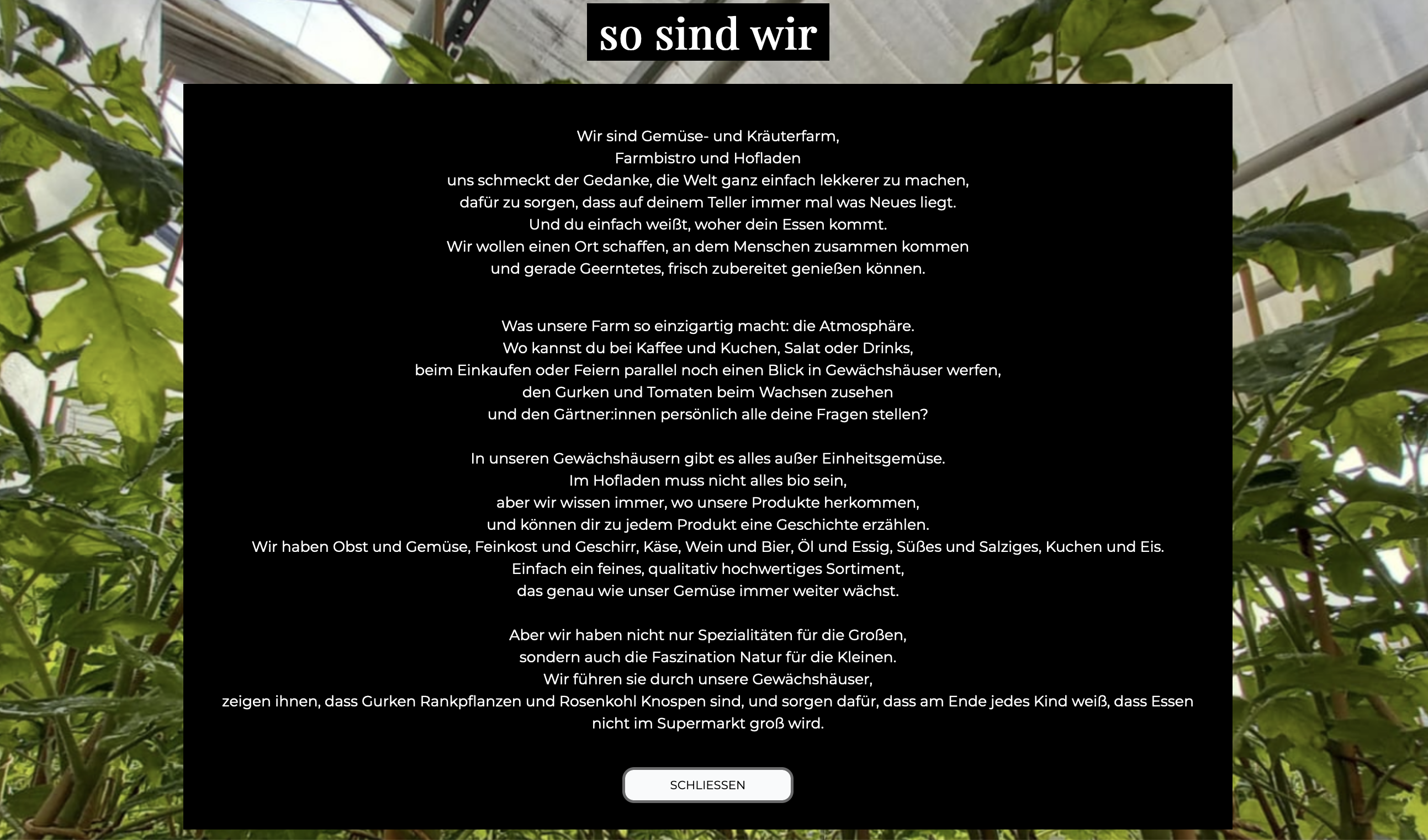 Neunundzwanziggrad Marke & Website & Newsletter