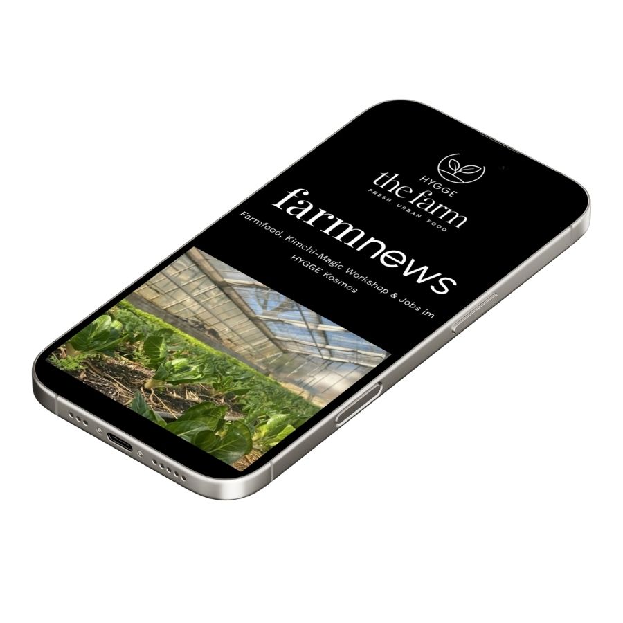 Neunundzwanziggrad Marke & Website & Newsletter