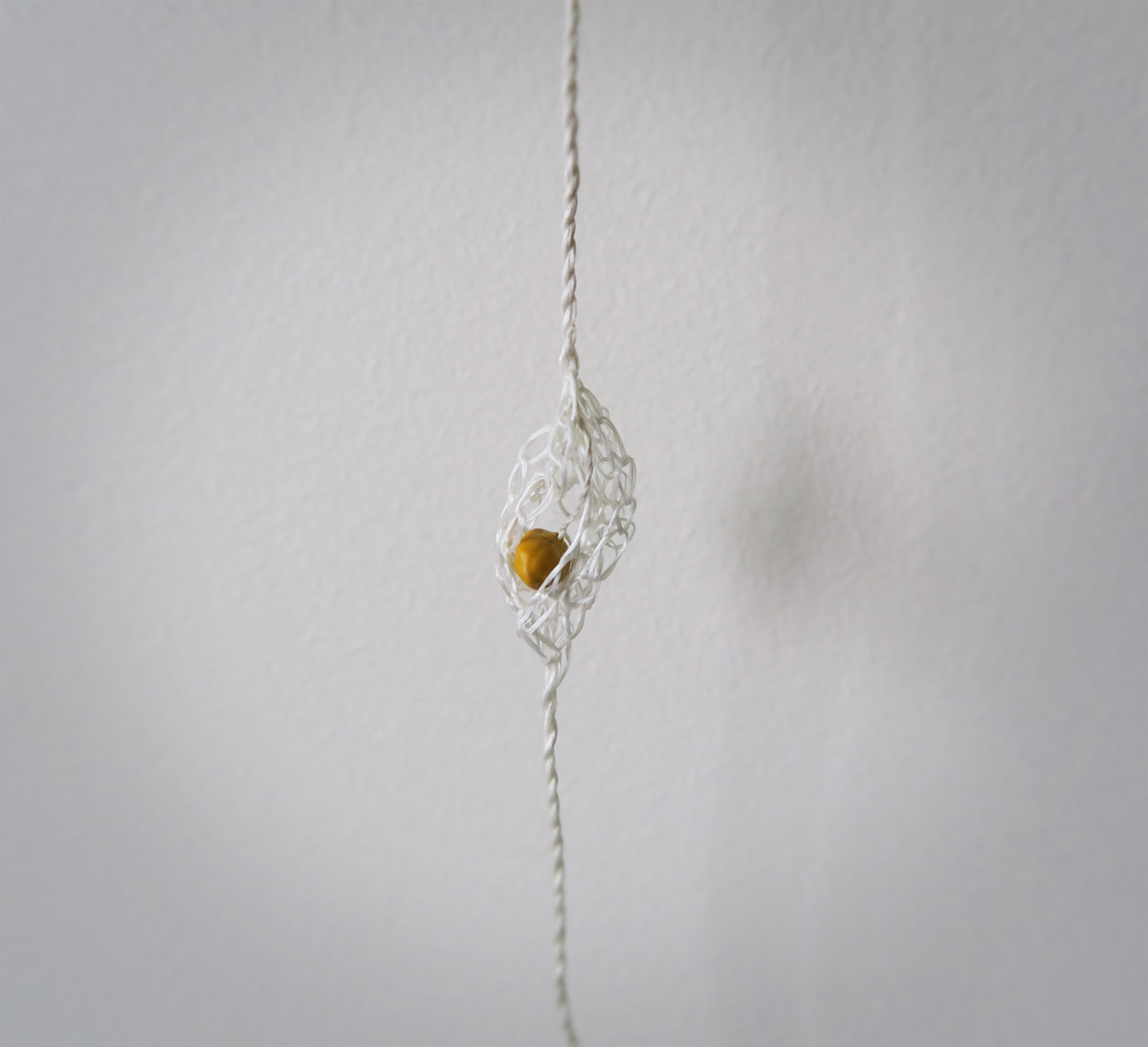 Forest in a Tear Drop