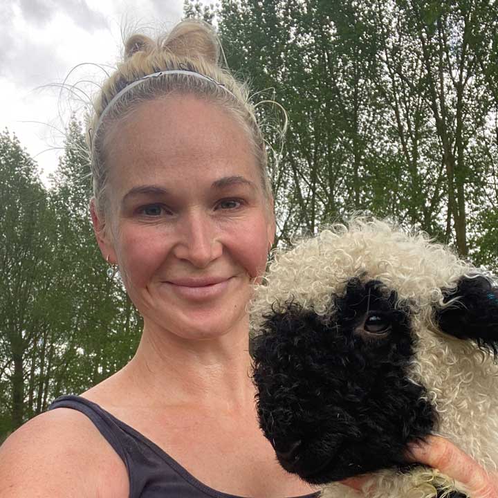 Brya Harrison: Bow Peep Sheep Shearing