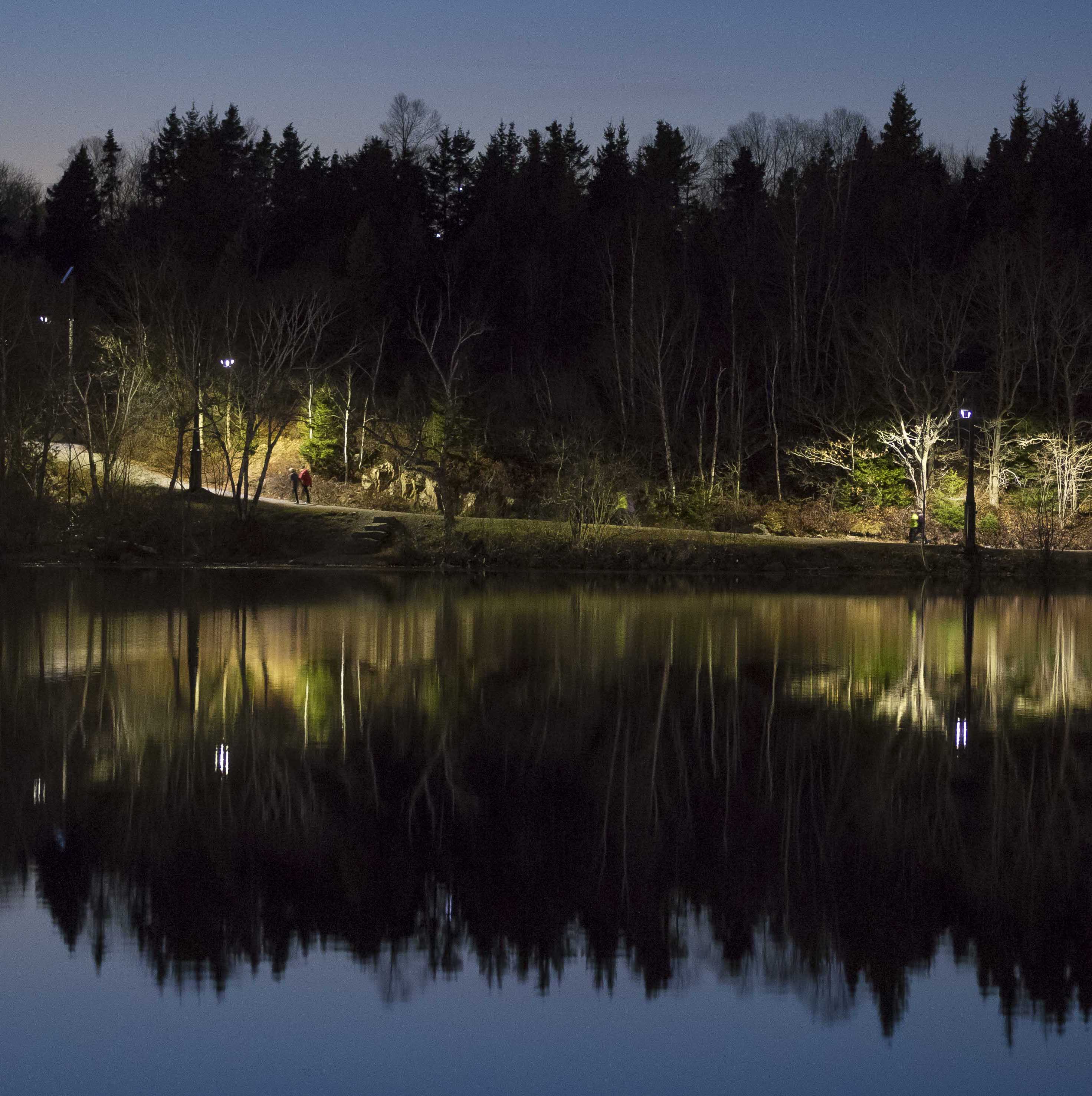Lily Lake, Rockwood Park