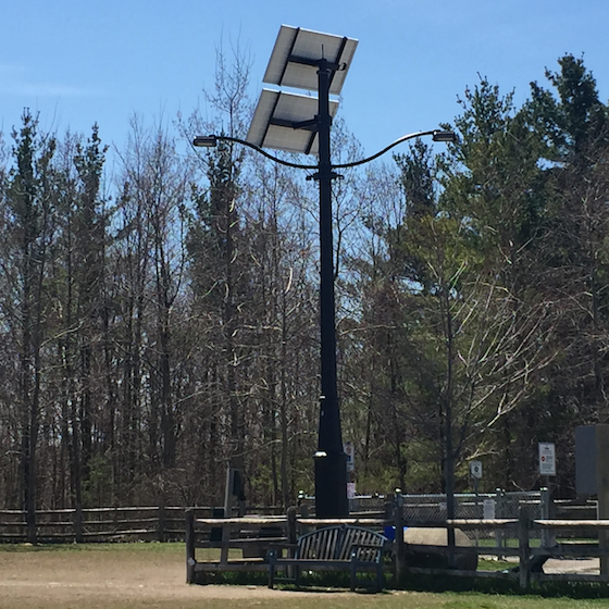 City of Pickering Dog Park