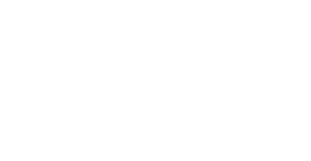 Laser Plumbing & Electrical logo