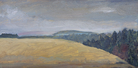 Steinberg 7
