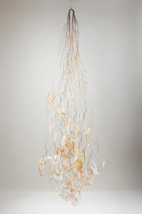 Fluxus