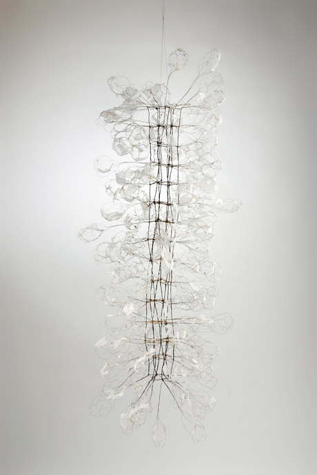Plexus