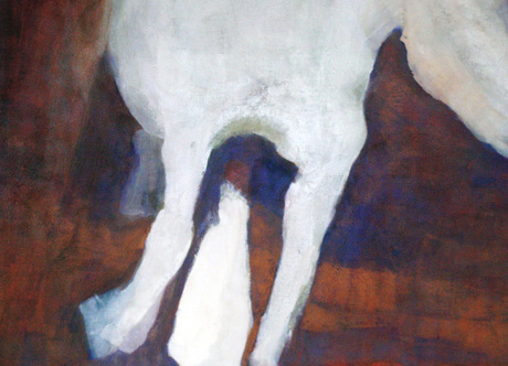 Pferd in Bewegung