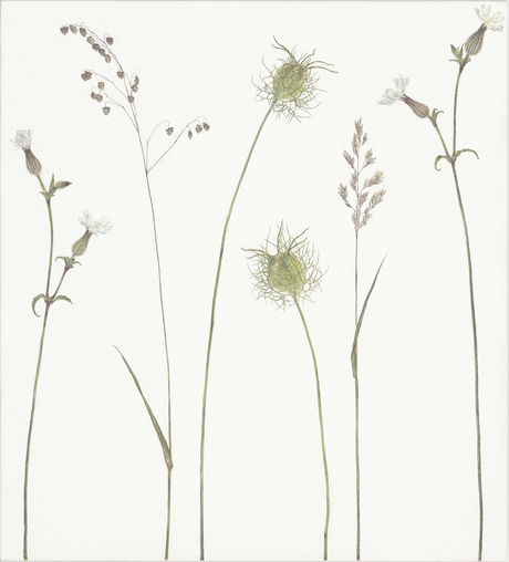 ohne Titel
