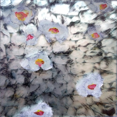 Wundblume 1